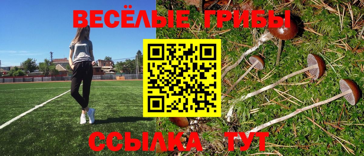 Псилоцибиновые грибы прущие грибы  Вход с VPN  продажа наркотиков  Галлюциногенные грибы Psilocybine cubensis  Москва 