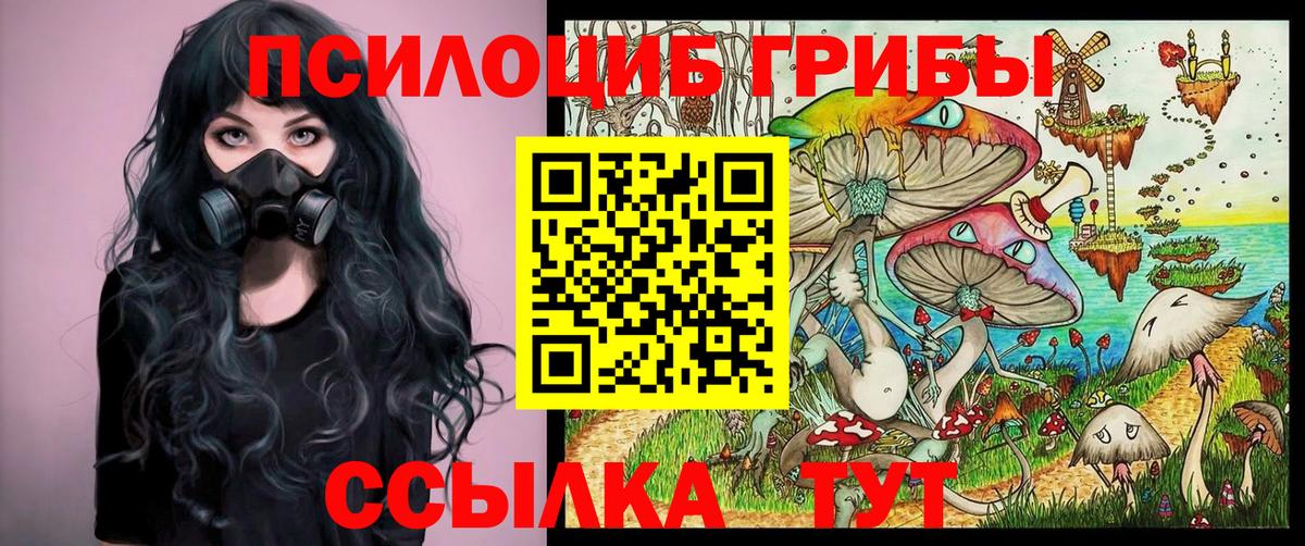Галлюциногенные грибы Magic Shrooms Москва